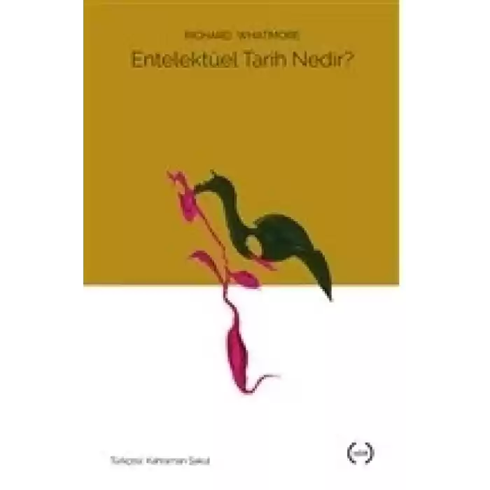 Entelektüel Tarih Nedir?