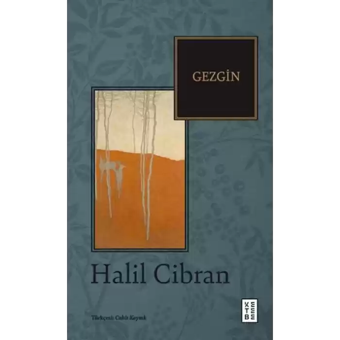 Gezgin