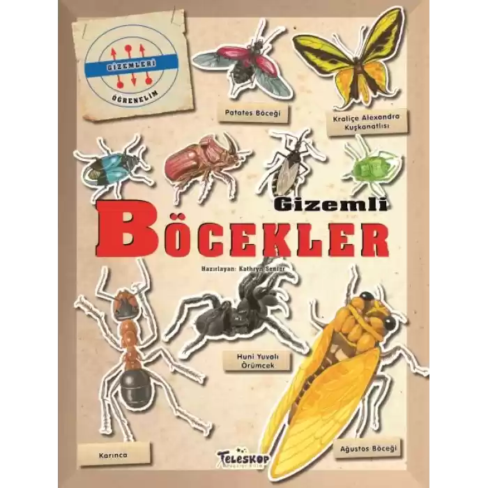 Gizemleri Öğrenelim - Gizemli Böcekler