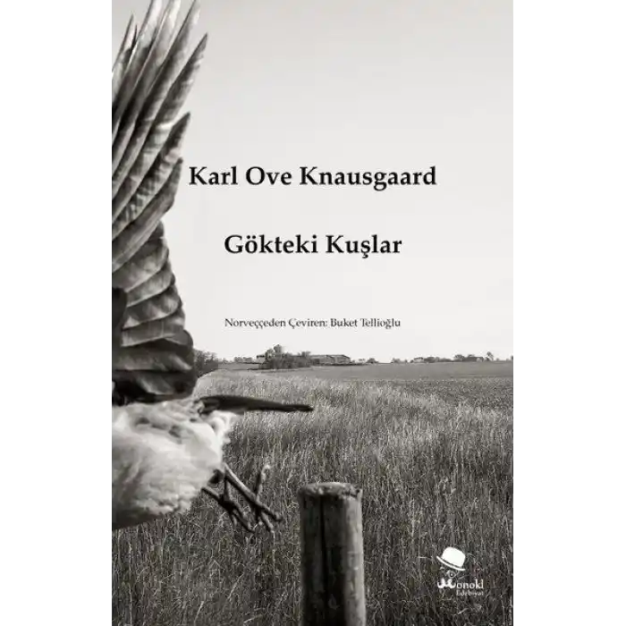 Gökteki Kuşlar
