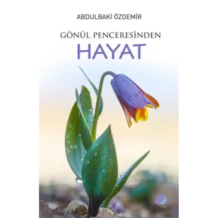 Gönül Penceresinden Hayat