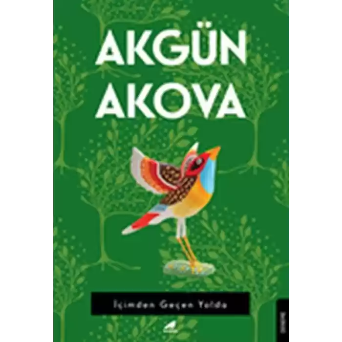 İçimden Geçen Yolda