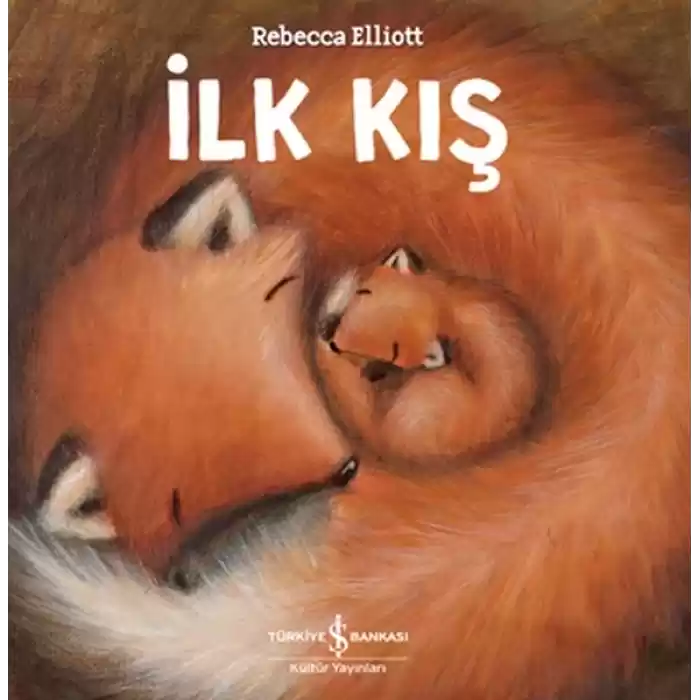 İlk Kış