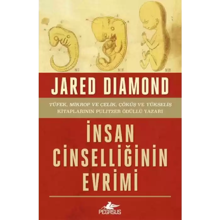 İnsan Cinselliğinin Evrimi - Ciltsiz
