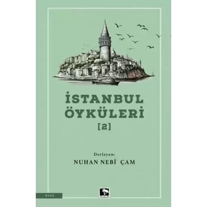 İstanbul Öyküleri 2