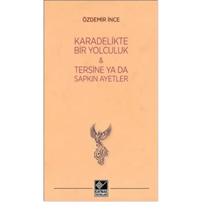 Kara Delikte Bir Yolculuk ve Tersine ya da Sapkın Ayetler