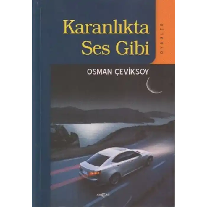 Karanlıkta Ses Gibi
