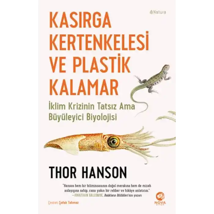 Kasırga Kertenkelesi ve Plastik Kalamar