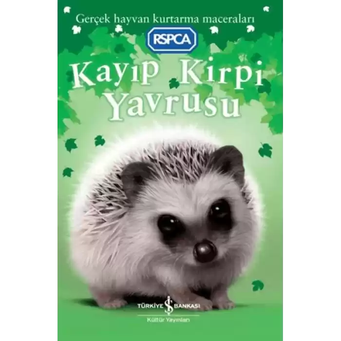 Kayıp Kirpi Yavrusu