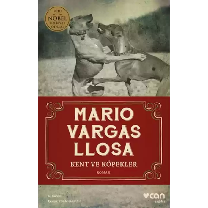 Kent ve Köpekler