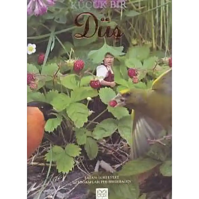 Küçük Bir Düş