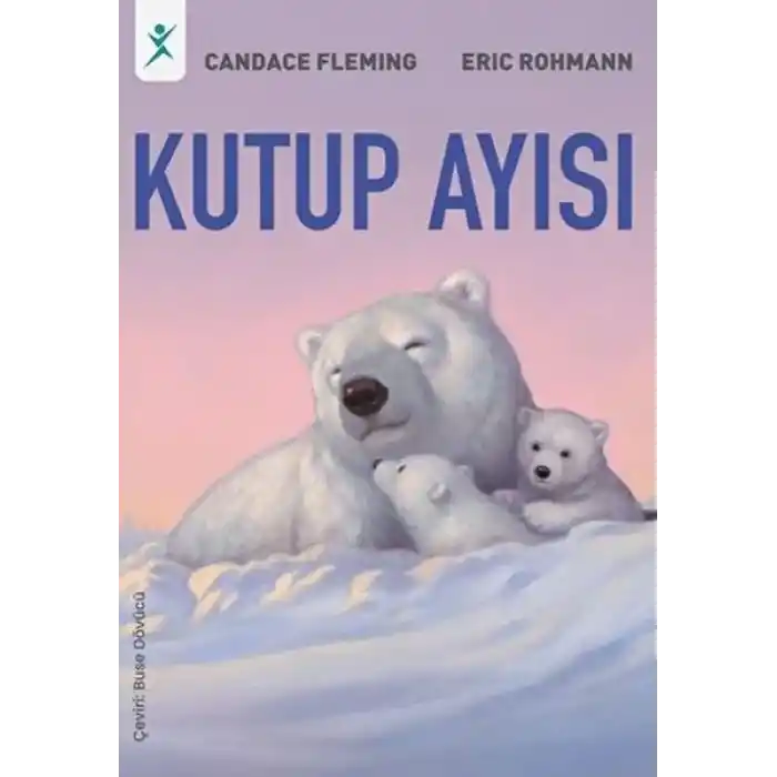 Kutup Ayısı