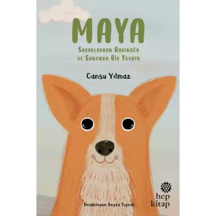 Maya - Sokaklardan Barınağa ve Sonunda Bir Yuvaya