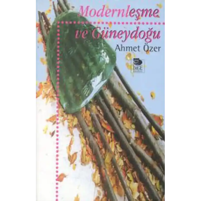 Modernleşme ve Güneydoğu