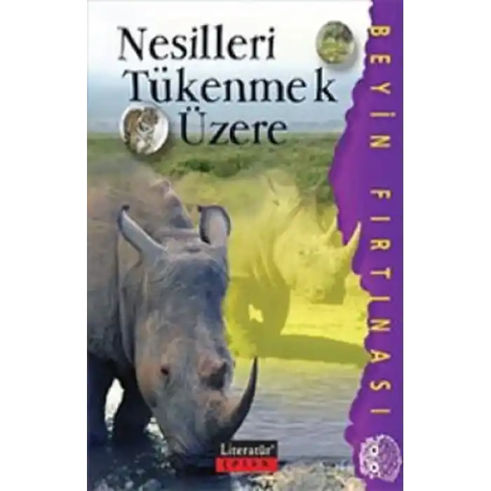 Nesilleri Tükenmek Üzere / Beyin Fırtınası