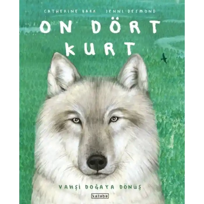 On Dört Kurt