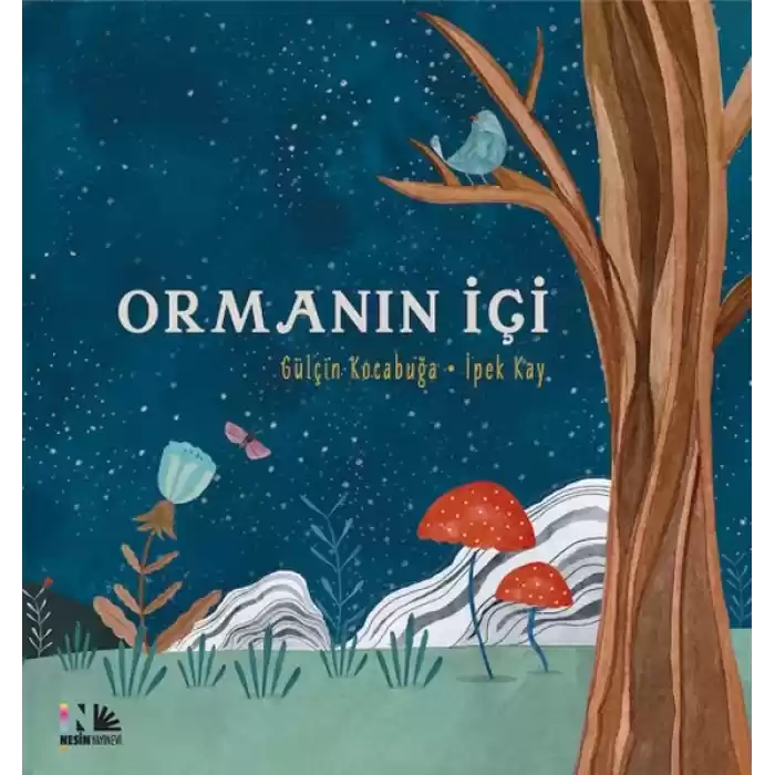 Ormanın İçi