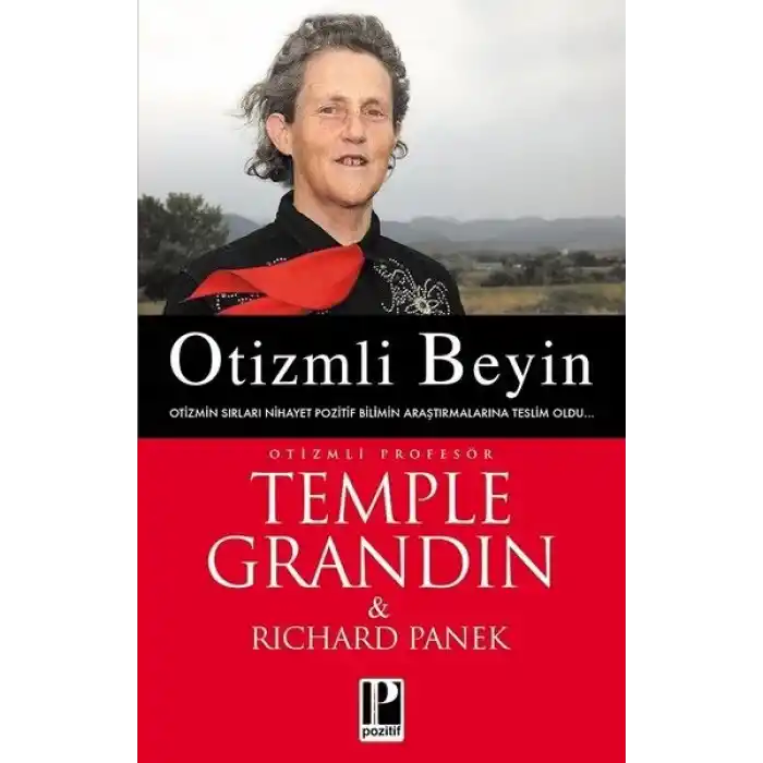 Otizmli Beyin