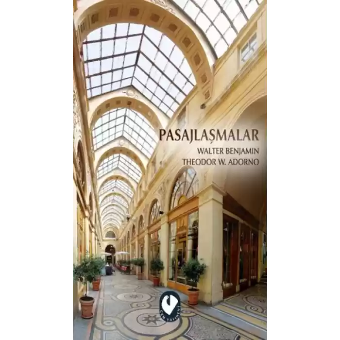 Pasajlaşmalar