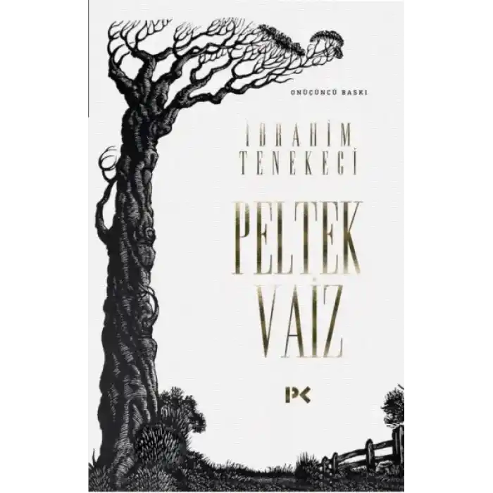 Peltek Vaiz
