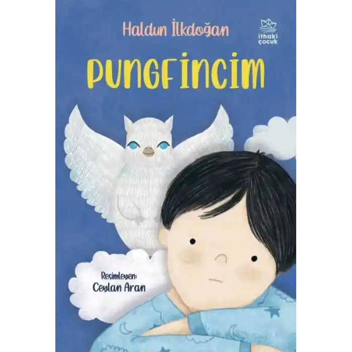 Pungfincim