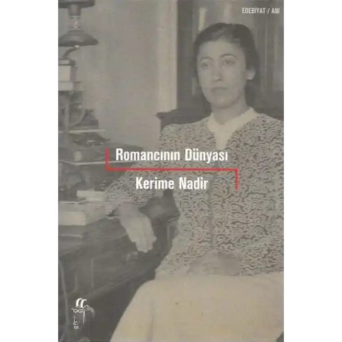 Romancının Dünyası