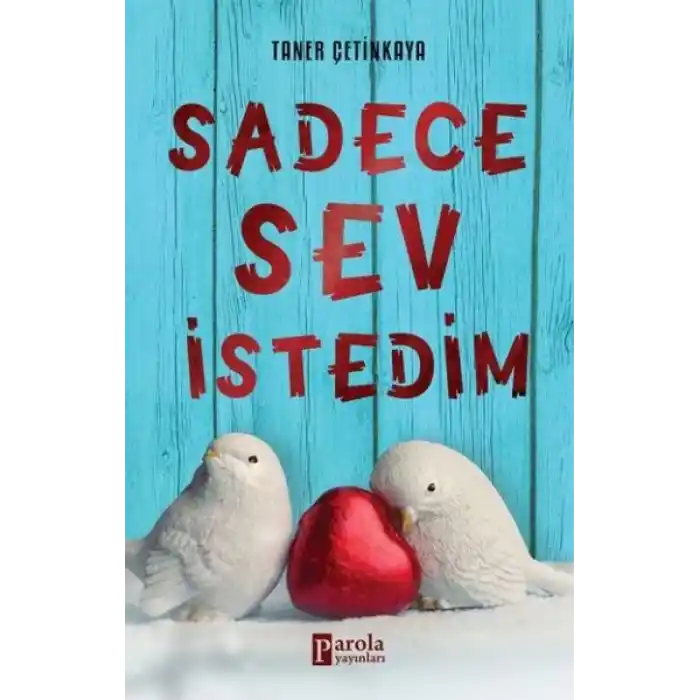 Sadece Sev İstedim