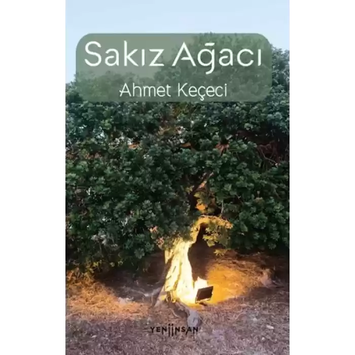 Sakız Ağacı