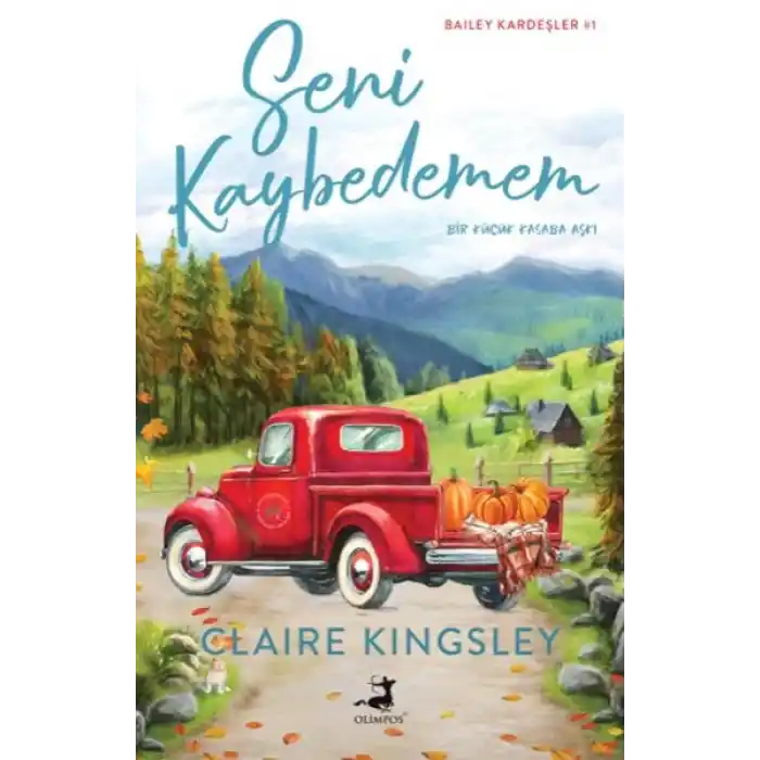 Seni Kaybedemem