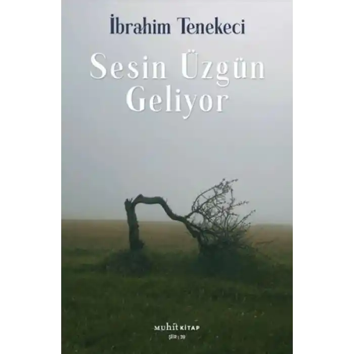 Sesin Üzgün Geliyor