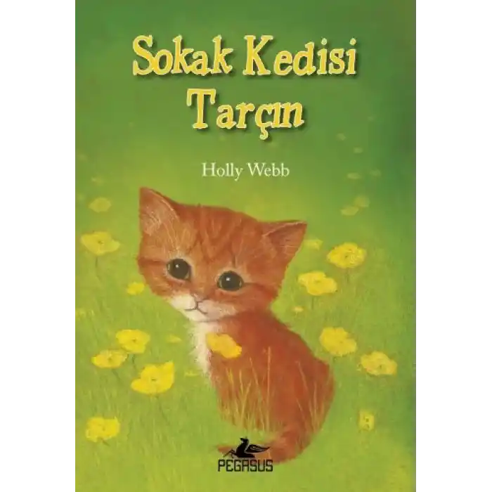 Sokak Kedisi Tarçın