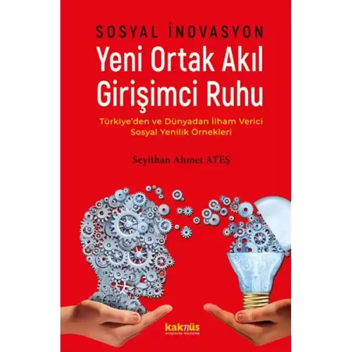 Sosyal İnovasyon Yeni Ortak Akıl Girişimci Ruhu