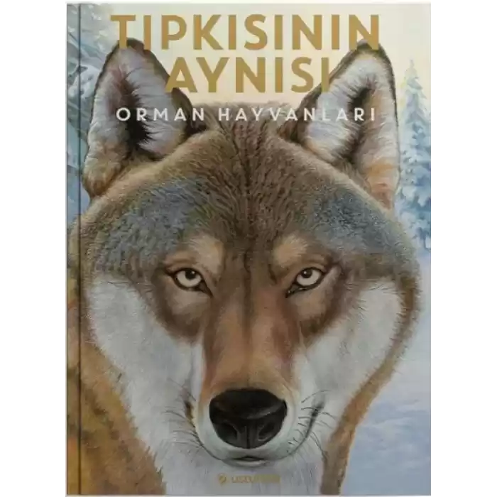 Tıpkısının Aynısı