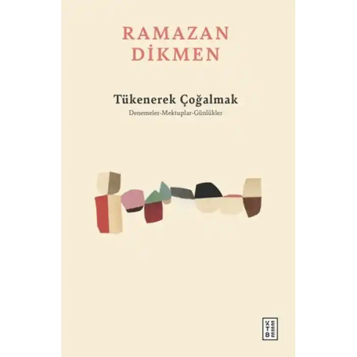 Tükenerek Çoğalmak Denemeler, Mektuplar, Günlükler