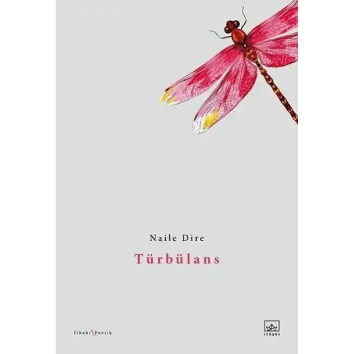 Türbülans