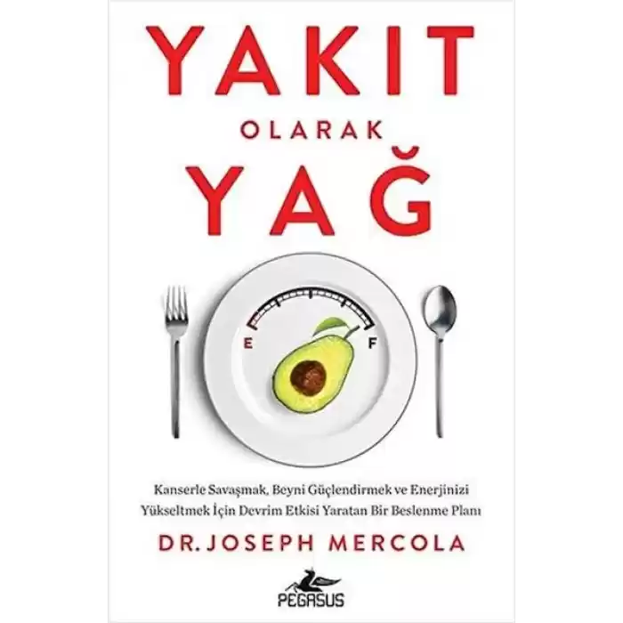 Yakıt Olarak Yağ