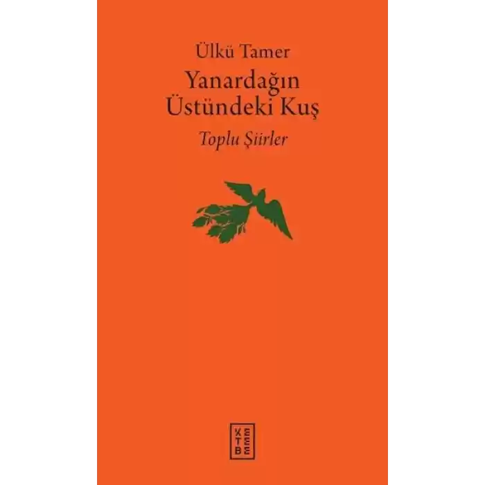 Yanardağın Üstündeki Kuş