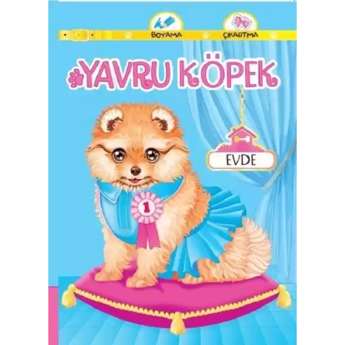 Yavru Köpek Evde