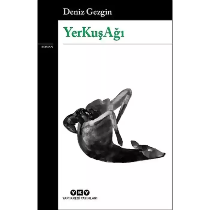 YerKuşAğı