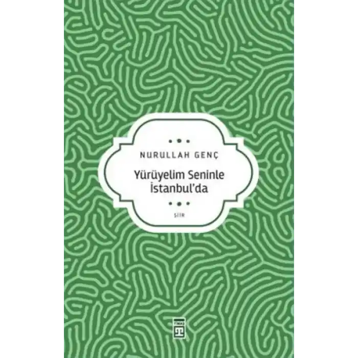 Yürüyelim Seninle İstanbul’da
