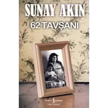 62 Tavşanı