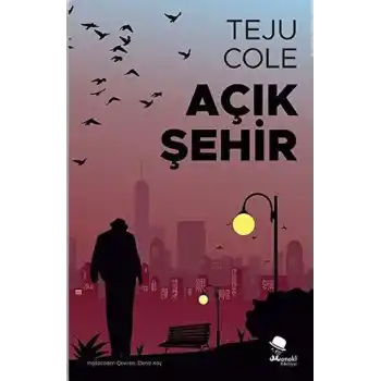 Açık Şehir