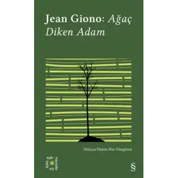 Ağaç Diken Adam - Everest Açıkhava 17