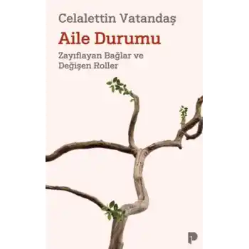 Aile Durumu