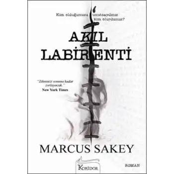 Akıl Labirenti