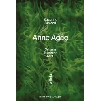 Anne Ağaç
