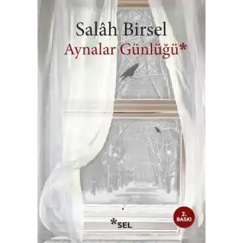 Aynalar Günlüğü