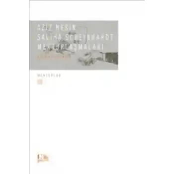 Aziz Nesin  Saliha Scheinhardt Mektuplaşmaları  Bozkır Fırtınası