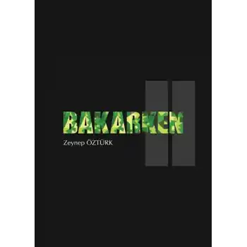 Bakarken 2