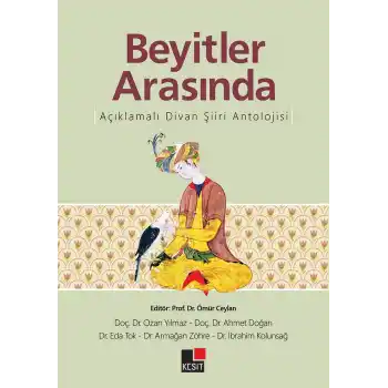 Beyitler Arasında Açıklamalı Divan Şiiri Antolojisi